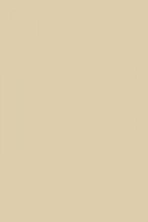 FARROW AND BALL JOA'S WHITE NO. 226 PAINT